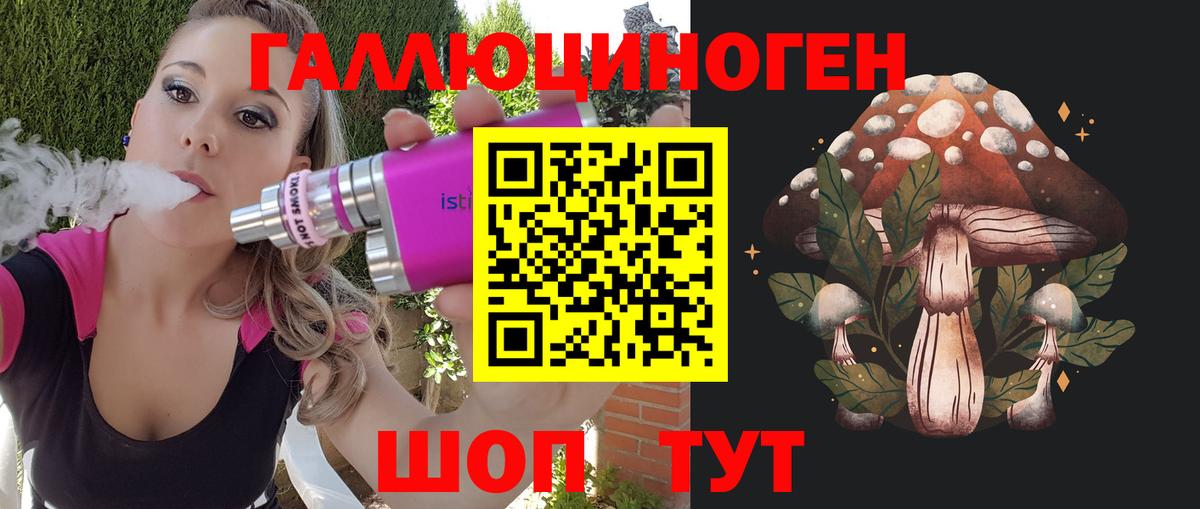 Псилоцибиновые грибы Cubensis Моздок